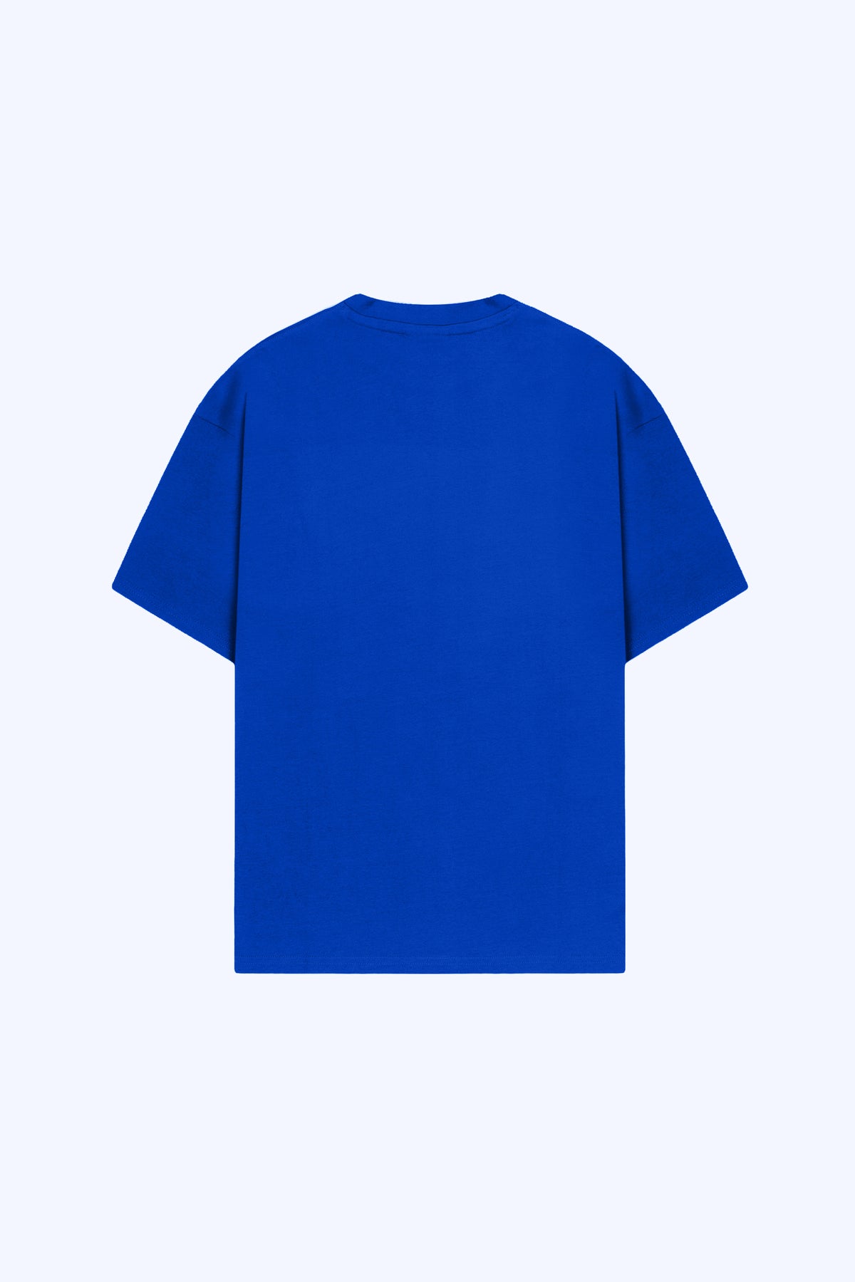 Heavy Blank T-Shirt